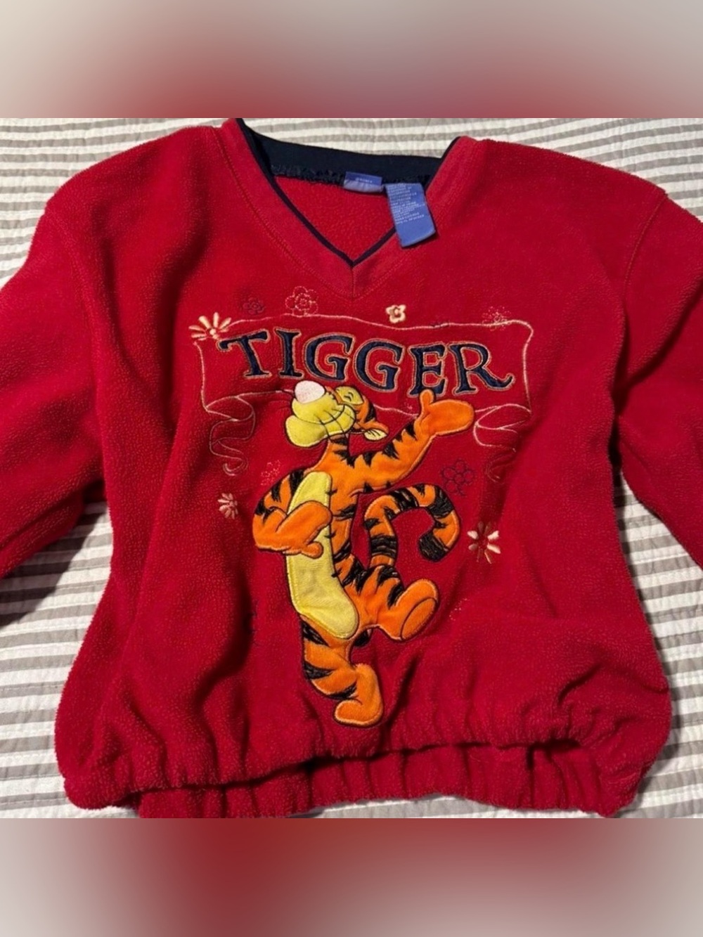 Disney Vintage Store Sweatshirt Winnie Pooh Tigger Embroidery, Red 🐯